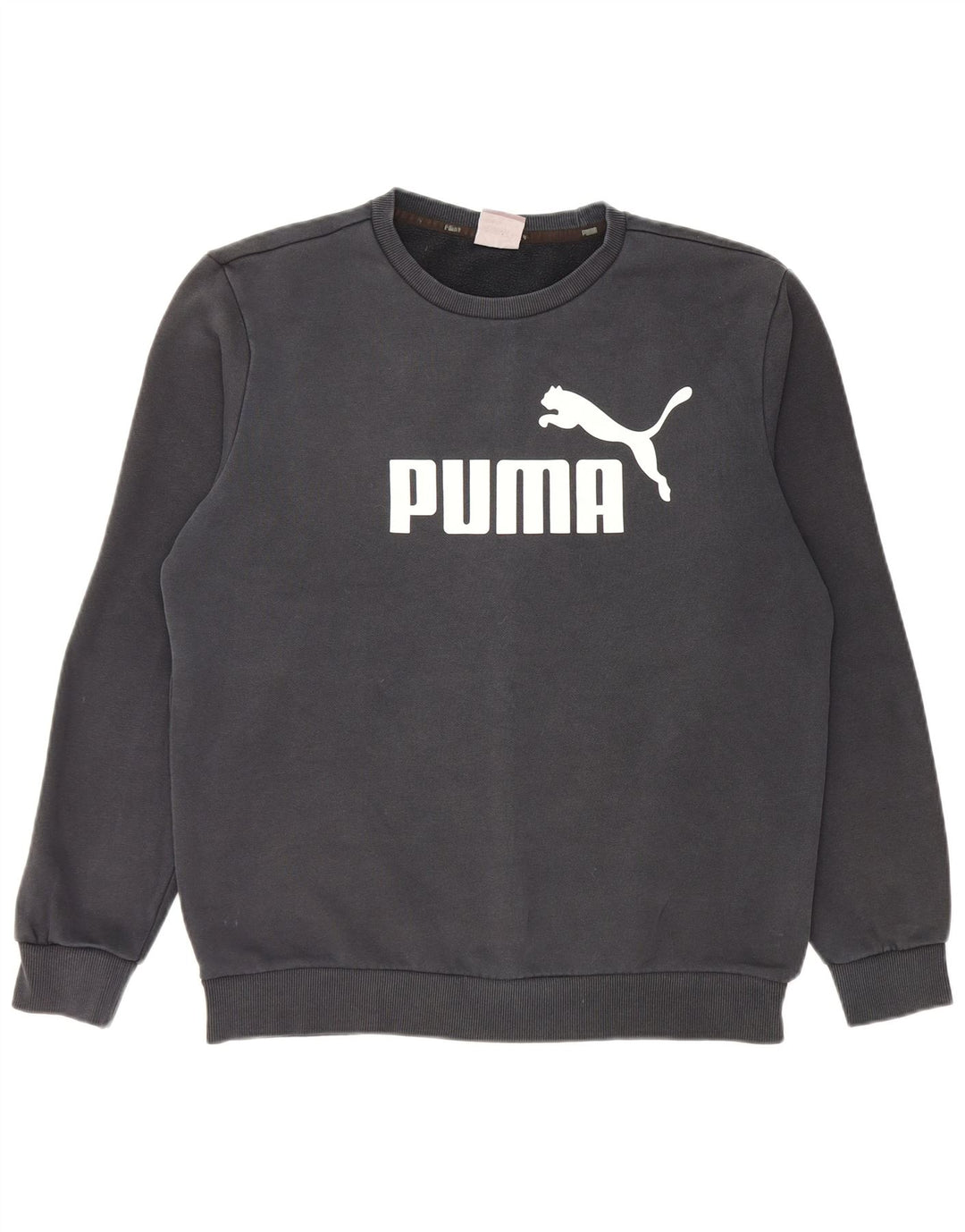 Ανδρικό γραφικό φούτερ Puma Jumper Μεσαίο μαύρο βαμβακερό