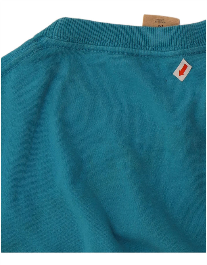 Ανδρικό γραφικό μπλουζάκι Hollister Top από μεσαίο μπλε βαμβακερό