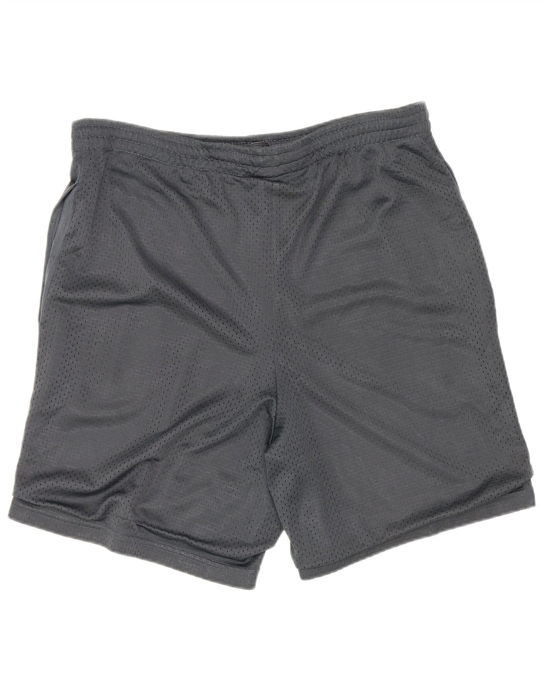 Αθλητικά σορτς Starter Graphic Regular Fit Small Grey Polyester Sports