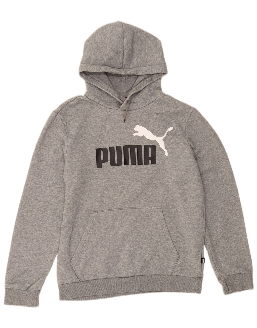 Ανδρικό γραφικό κουκούλα Puma Μικρό γκρι βαμβακερό