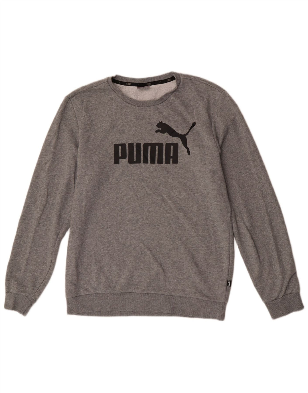 Ανδρικό γραφικό φούτερ Puma Jumper μεγάλο γκρι βαμβακερό