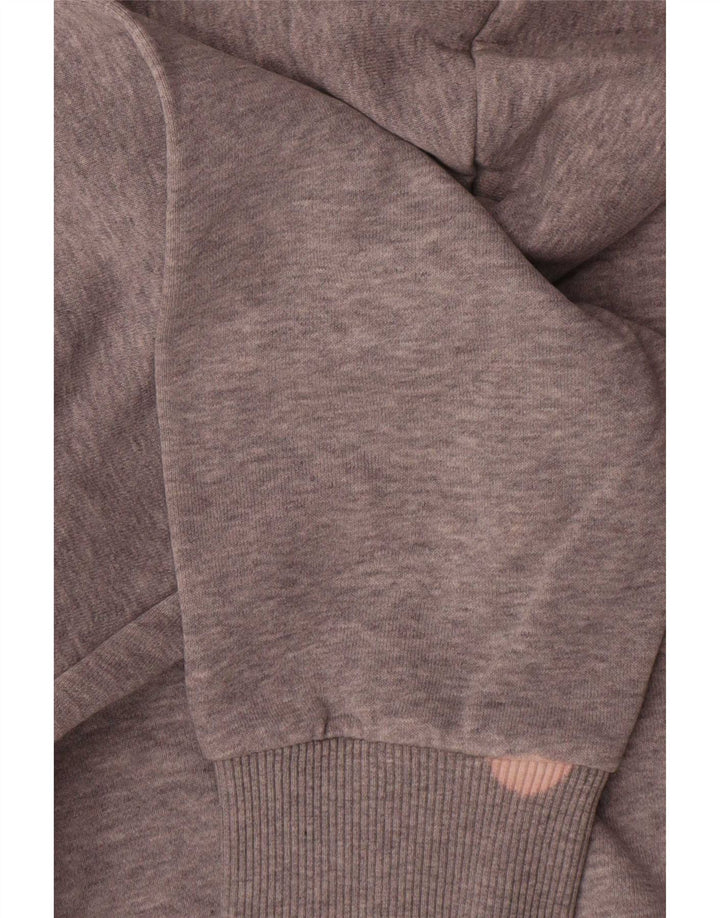 Ανδρικό Reebok Graphic Hoodie Jumper Μεσαίο γκρι βαμβακερό