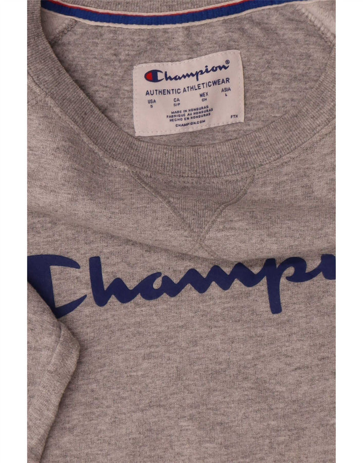 Ανδρικό γραφικό φούτερ Champion Jumper Μικρό Γκρι βαμβακερό