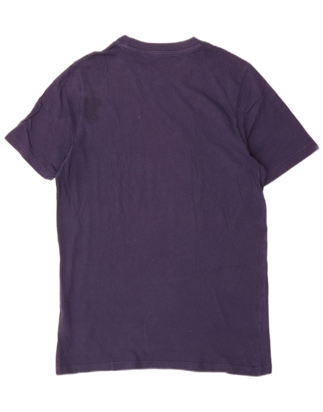 Ανδρικό γραφικό μπλουζάκι PUMA Μικρό μπλε βαμβακερό