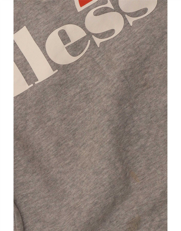 Ellesse Γυναικεία γραφικά υπερμεγέθη φούτερ Jumper UK 10 Small Grey Flecked