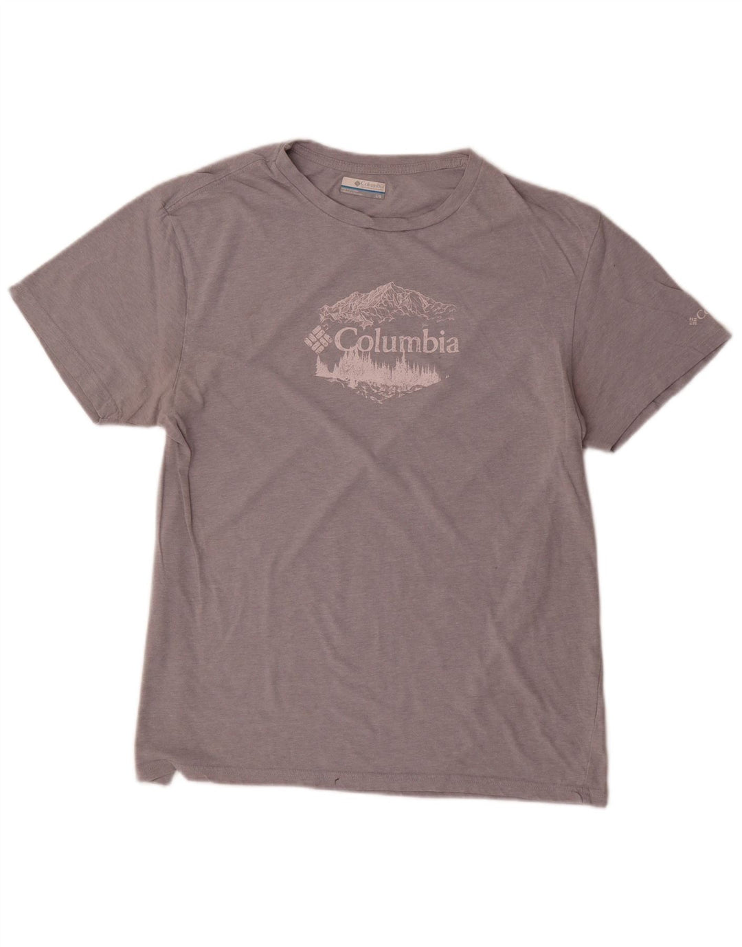 Ανδρικό γραφικό T-shirt Columbia Top Large Grey