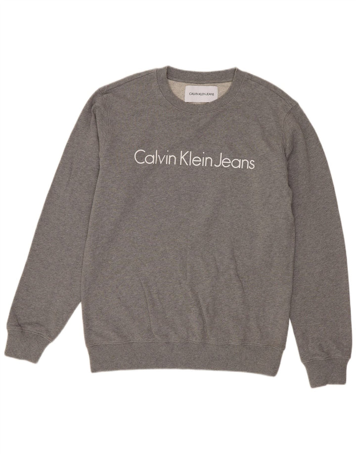 Ανδρικό γραφικό φούτερ Calvin Klein Jeans, μεσαίο γκρι βαμβακερό
