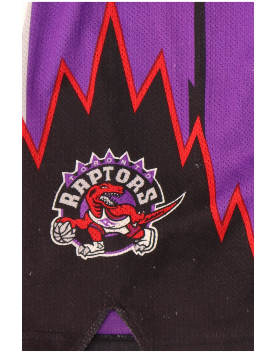 Champion Mens Mitchell&Ness NBA Los Toronto Raptors Small Purple