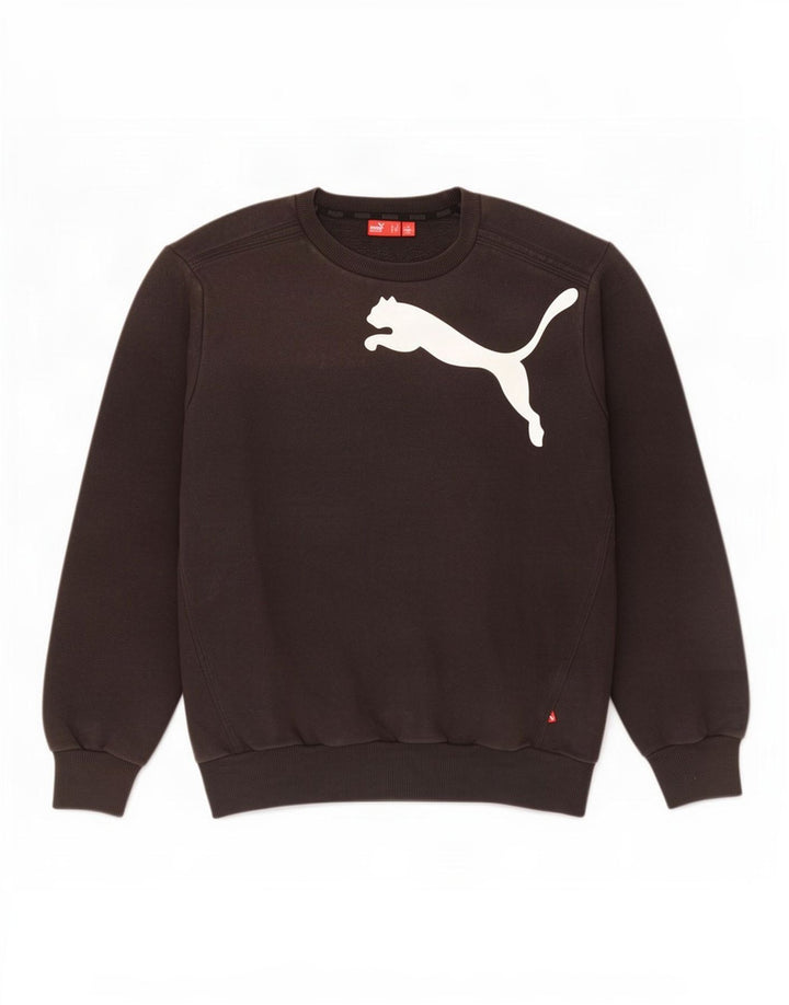 Ανδρικό γραφικό φούτερ Puma Jumper Medium Μαύρο