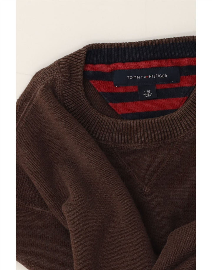 Ανδρικό πουλόβερ Tommy Hilfiger Crew Neck Jumper Μεγάλο Καφέ