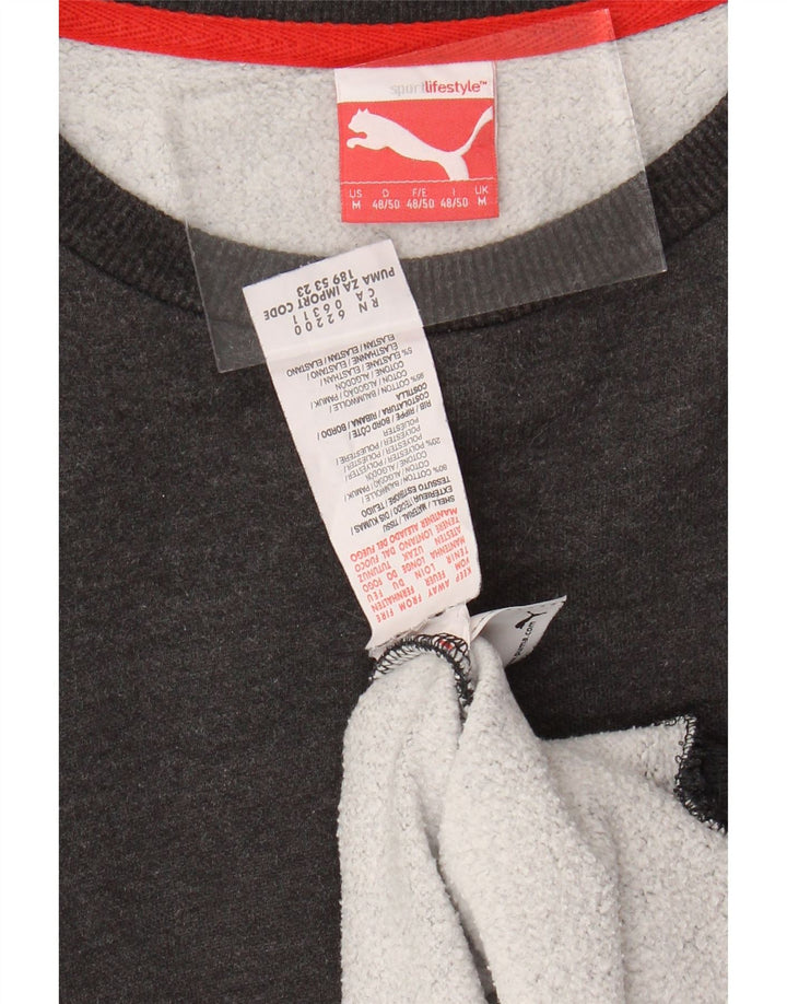 Ανδρικό φούτερ PUMA Jumper Μεσαίο γκρι βαμβακερό