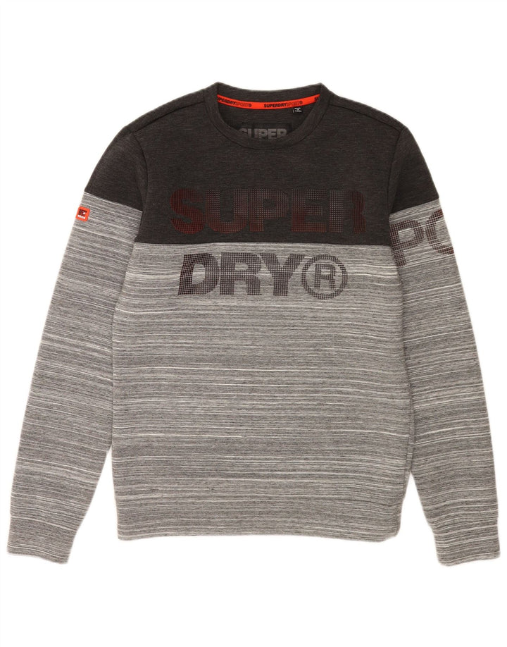 Ανδρικό γραφικό φούτερ Superdry Jumper Μικρό γκρι ριγέ πολυεστέρα