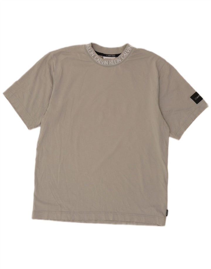 Ανδρικό γραφικό T-Shirt Calvin Klein Τοπ μεσαίο γκρι βαμβακερό