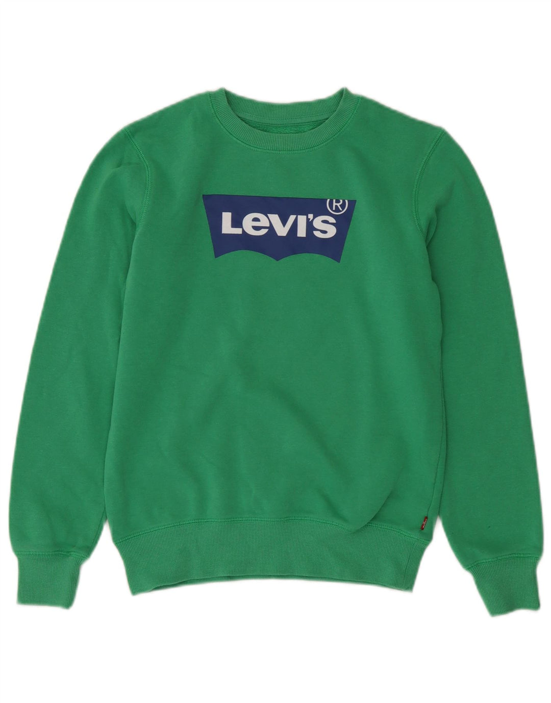 Γραφικό φούτερ Levi's Boys Jumper 13-14 ετών Πράσινο βαμβακερό