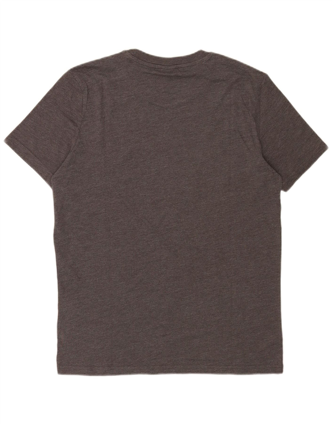 Ανδρικό γραφικό T-Shirt Champion Top Μεσαίο γκρι βαμβακερό