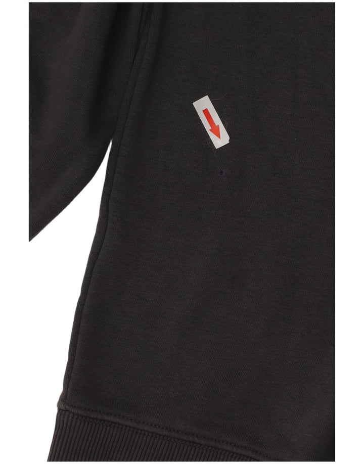 Ανδρικό γραφικό φούτερ Alpha Industries Jumper Μικρό γκρι βαμβακερό