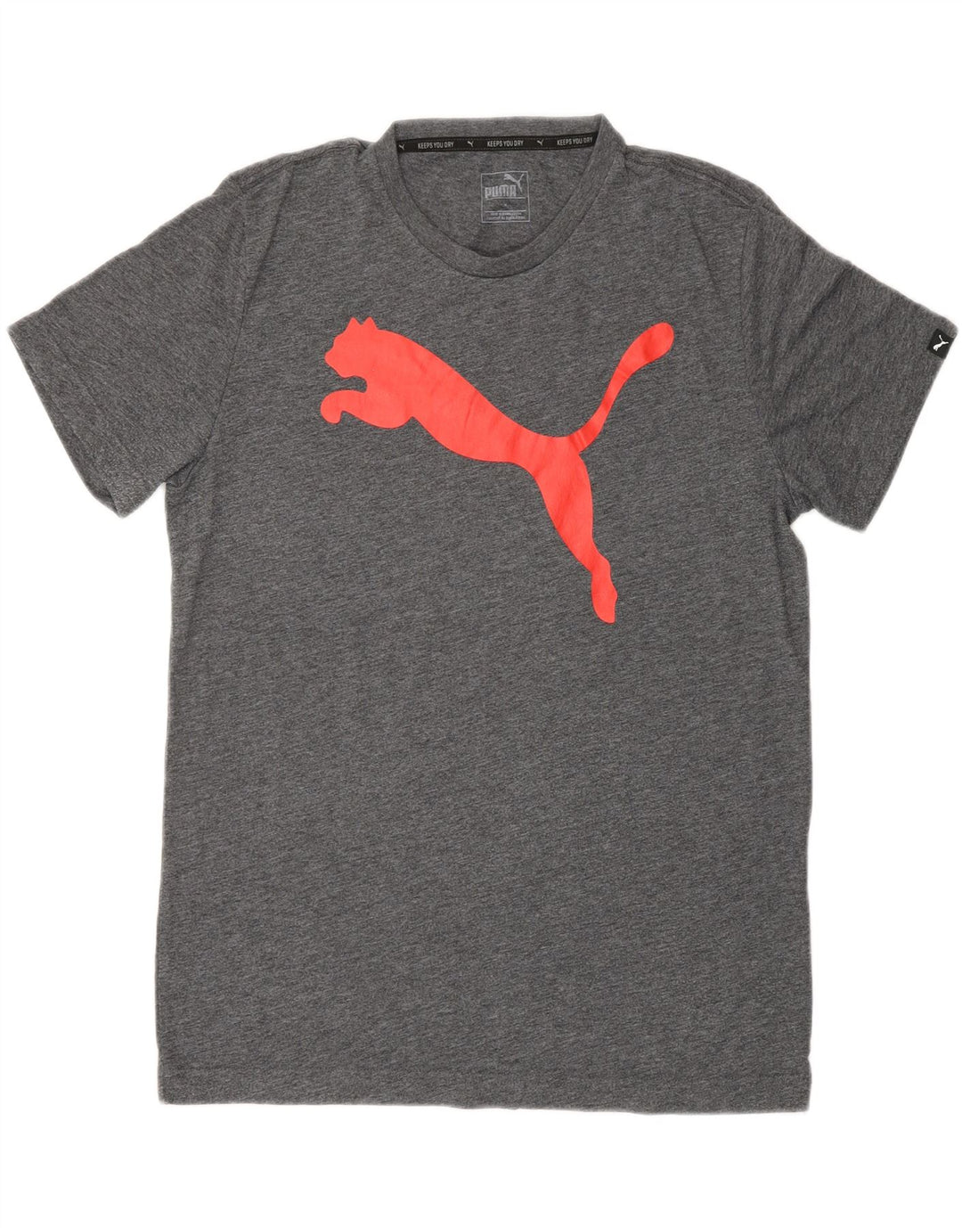 Ανδρικό γραφικό μπλουζάκι Puma, μεσαίο γκρι βαμβακερό