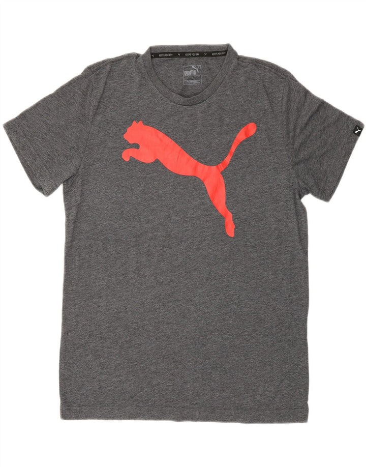 Ανδρικό γραφικό μπλουζάκι Puma, μεσαίο γκρι βαμβακερό
