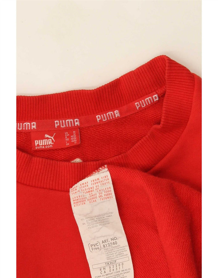 Ανδρικό γραφικό φούτερ Puma Jumper Μεσαίο κόκκινο βαμβακερό