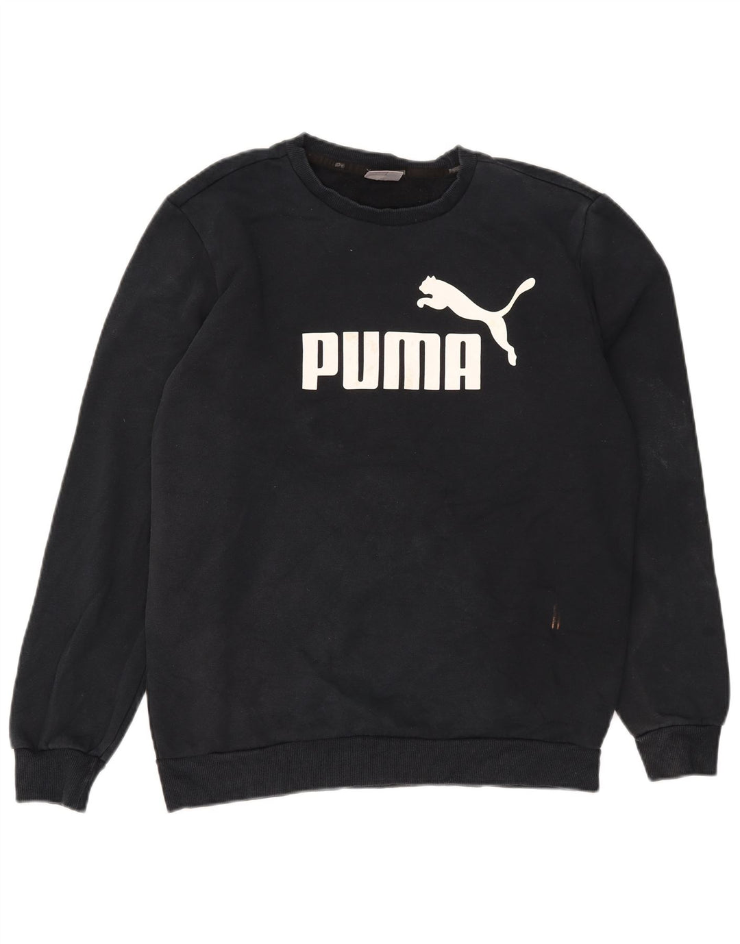 Ανδρικό γραφικό φούτερ Puma Jumper, μεσαίο μπλε βαμβακερό