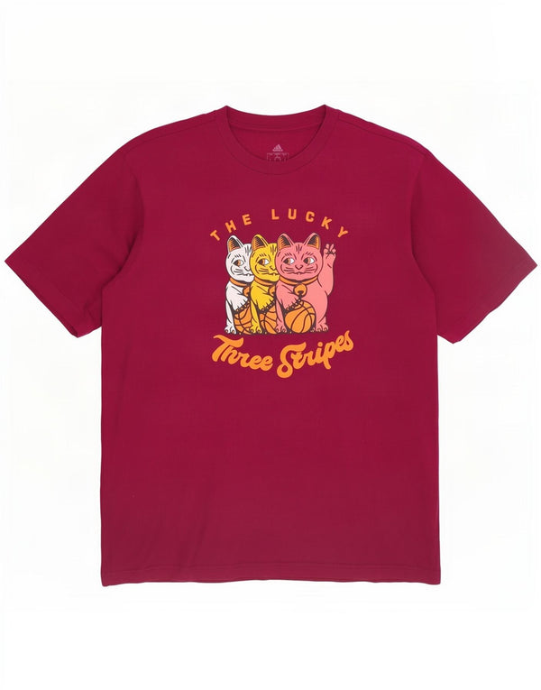 Ανδρικό γραφικό T-Shirt Adidas Top από μεσαίο μπορντό βαμβάκι