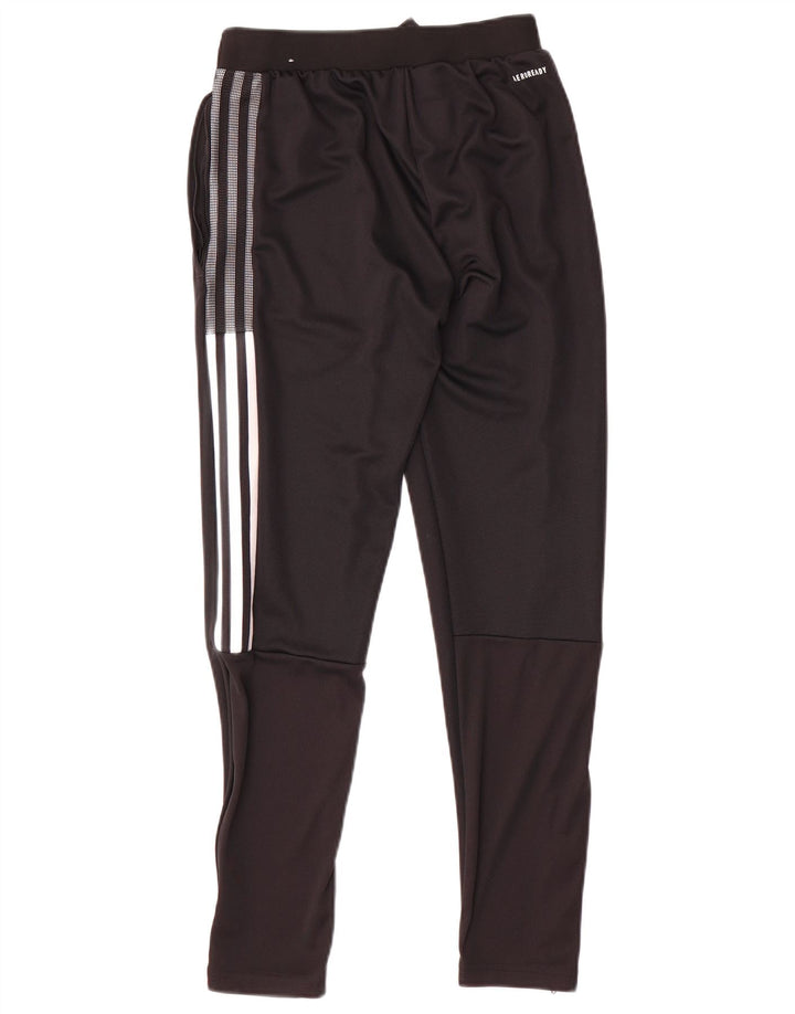 Ανδρική φόρμα Adidas Boston Celtics Παντελόνι XS Μαύρο Πολυεστέρα