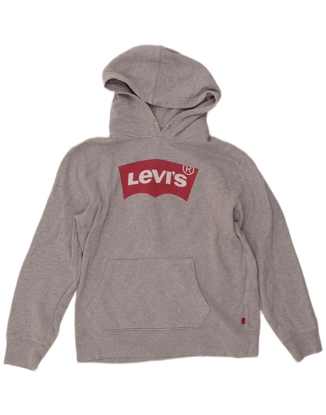 Ανδρικό γραφικό κουκούλα LEVI'S Μεσαίο γκρι βαμβακερό