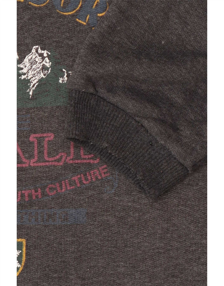 Ανδρικό γραφικό φούτερ Wampum Jumper Large Grey