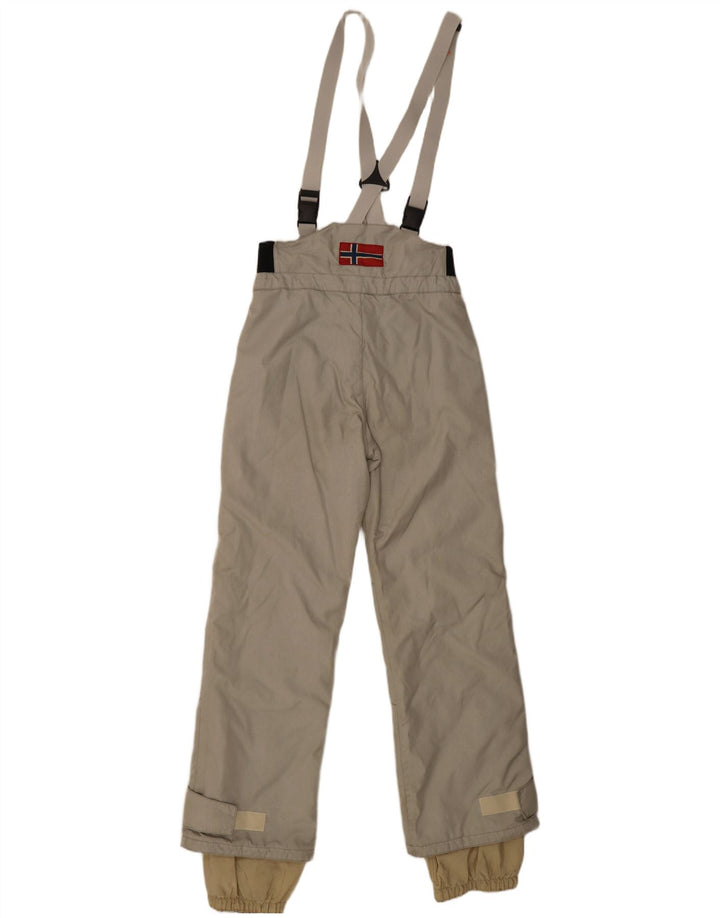 Ανδρικά παντελόνια σκι Napapijri Dungarees Medium Khaki Polyamide