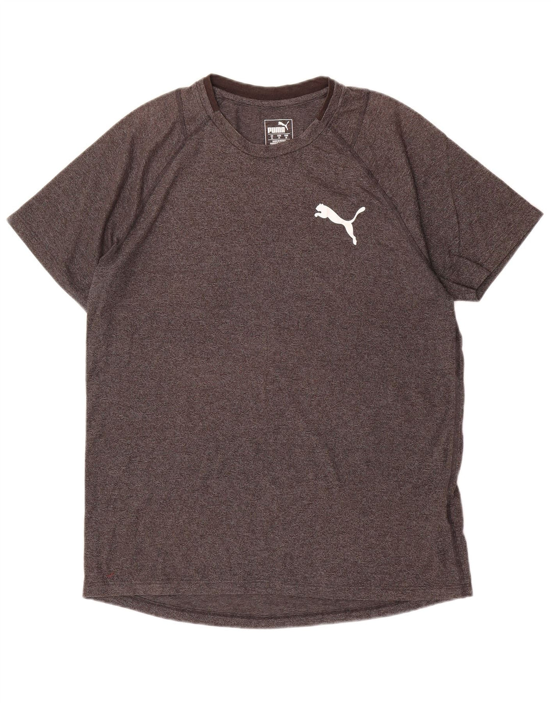 Ανδρικό γραφικό T-Shirt PUMA Τοπ μεσαίου γκρι βαμβακερό