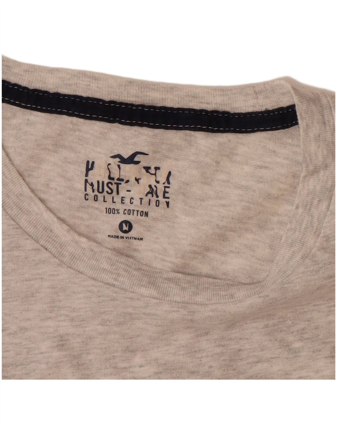 Ανδρικό T-Shirt HOLLISTER Τοπ μεσαίου γκρι βαμβακερό