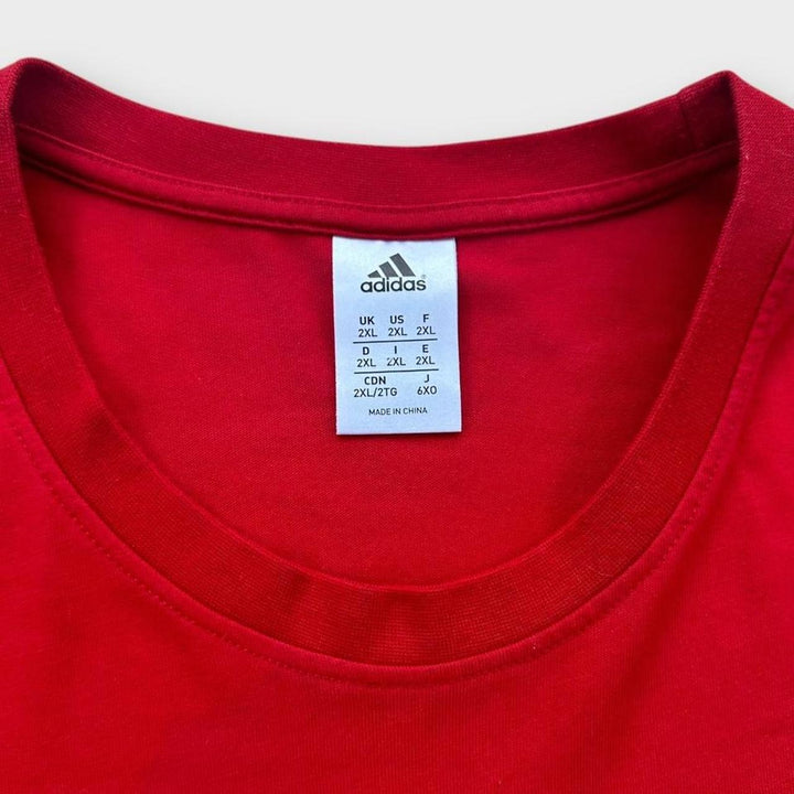 Μπλουζάκι ράγκμπι Lions - XXL