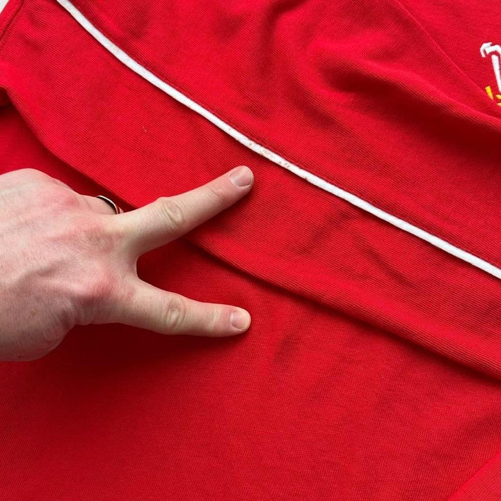 Εκλεκτής ποιότητας μπλουζάκι ράγκμπι Ουαλίας - μικρό