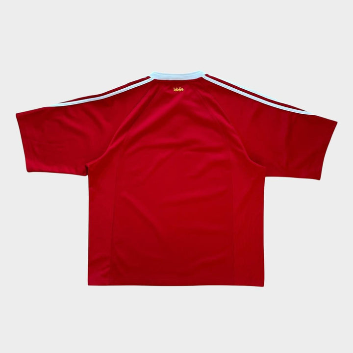 Τοπ ράγκμπι Vintage Lions - XL