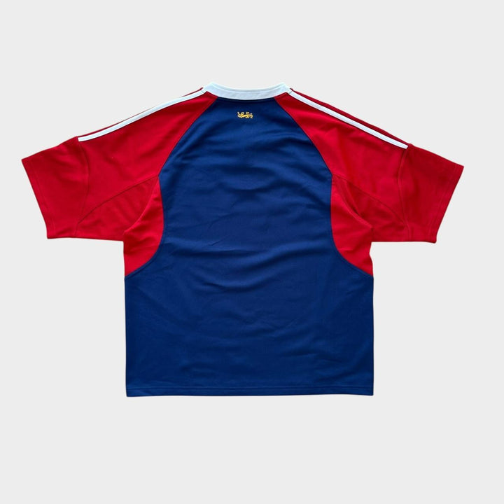 Τοπ ράγκμπι Vintage Lions - μεγάλο