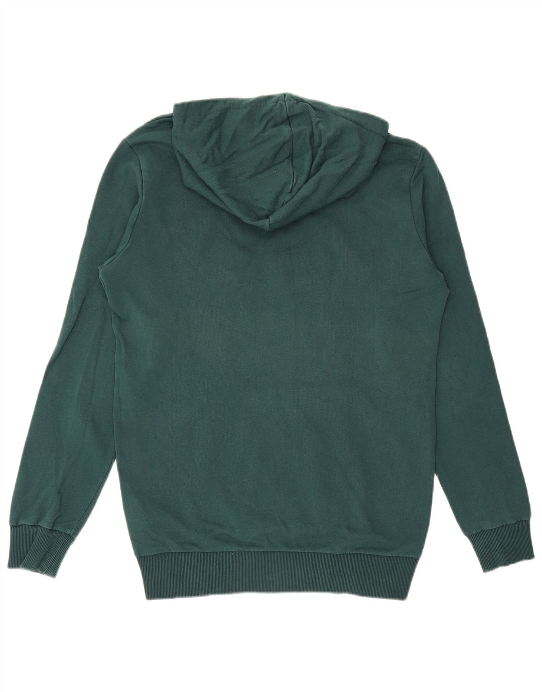 Ανδρικό γραφικό κουκούλα PUMA, μικρό πράσινο βαμβακερό