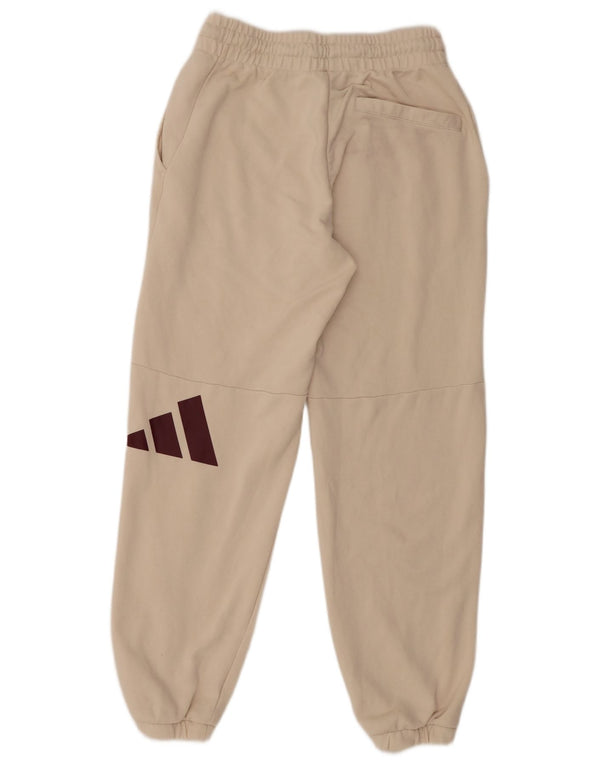 Ανδρική αθλητική φόρμα Adidas Graphic Παντελόνι Joggers Βαμβακερό μεσαίο μπεζ