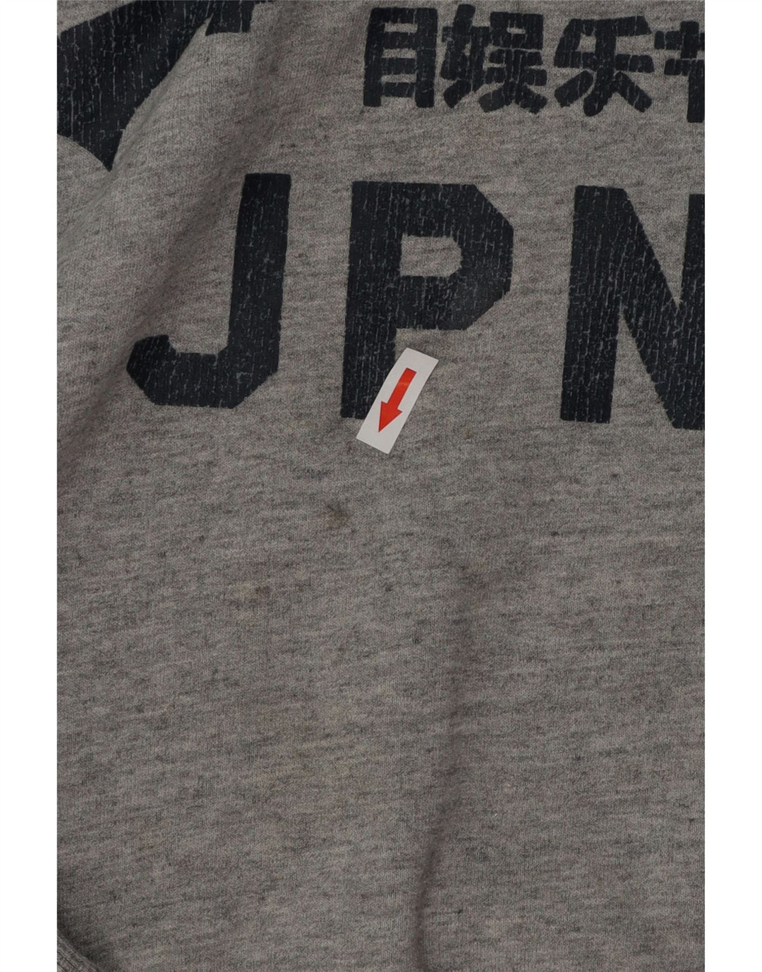 Ανδρικό γραφικό φούτερ SUPERDRY Jumper Μεγάλο γκρι βαμβακερό