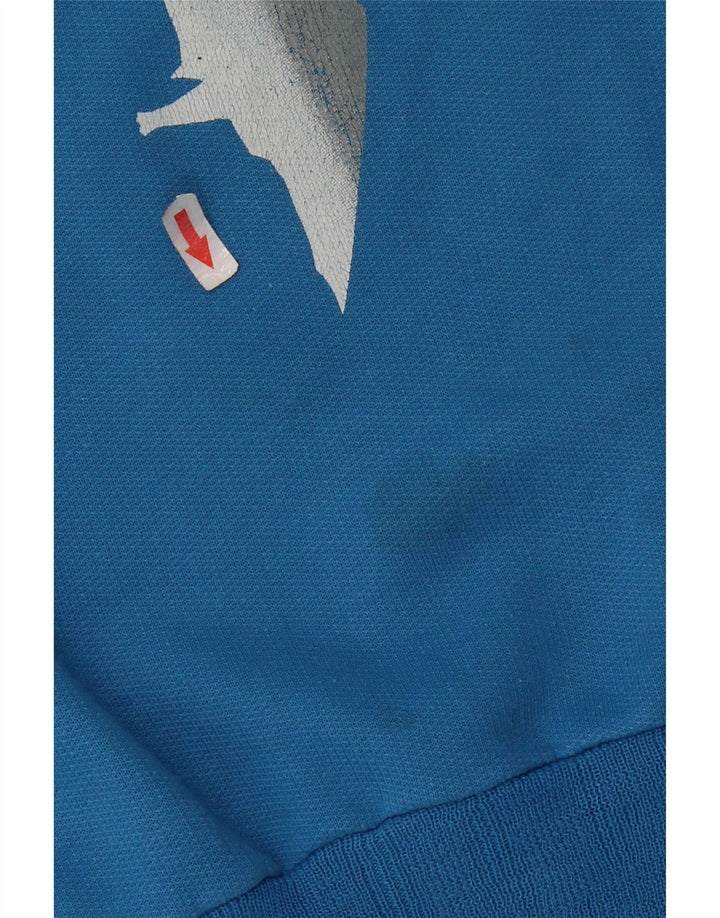 Vintage ανδρικό γραφικό φούτερ Jumper Μεσαίο μπλε βαμβακερό ρετρό
