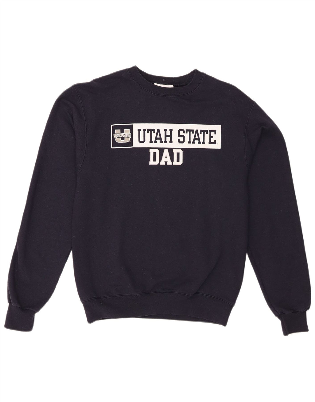 Champion Ανδρικό Γραφικό Φούτερ Jumper Small Navy Blue