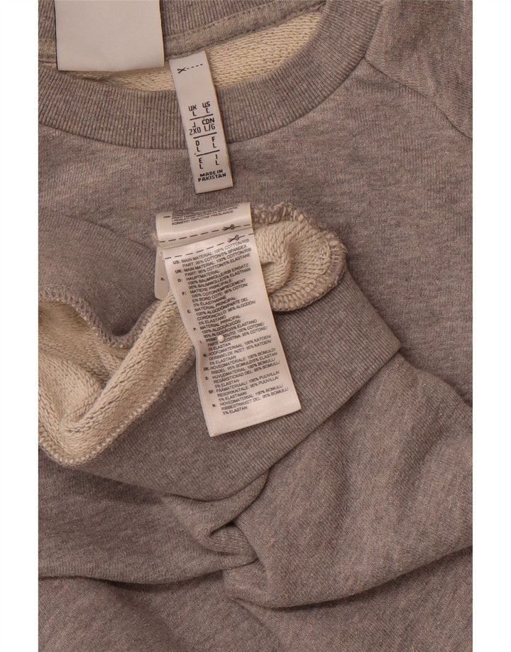 Ανδρικό γραφικό φούτερ ADIDAS Jumper μεγάλο γκρι βαμβακερό