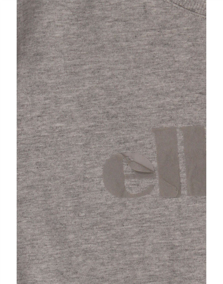 Ανδρικό γραφικό φούτερ ELLESSE Jumper Μεσαίο Γκρι Βαμβακερό