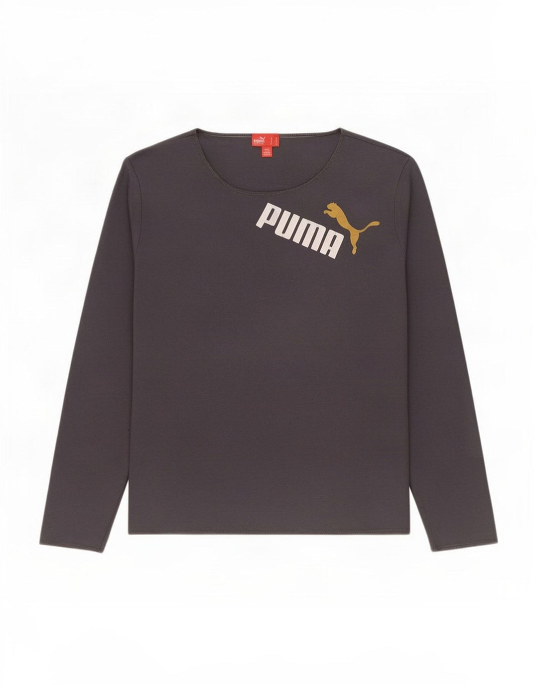 Puma Γυναικείο τοπ μακρυμάνικο UK 16 Large Grey