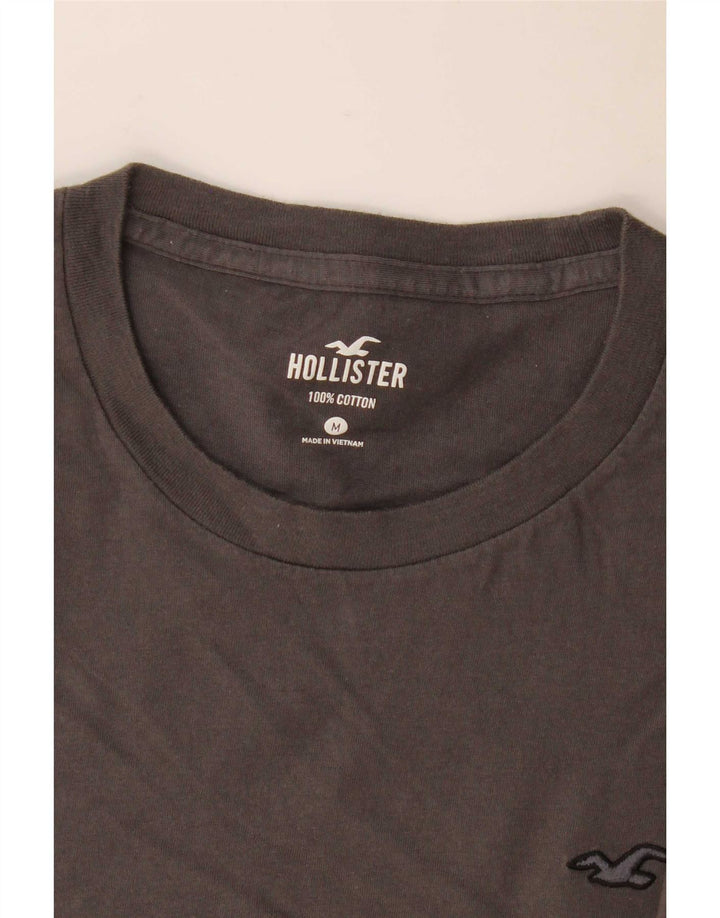 Ανδρικό T-Shirt Hollister Top Μεσαίο γκρι βαμβακερό