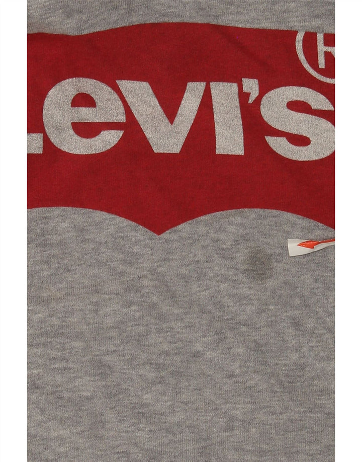 Ανδρικό γραφικό κουκούλα Levi's Βαμβακερό μεσαίο γκρι