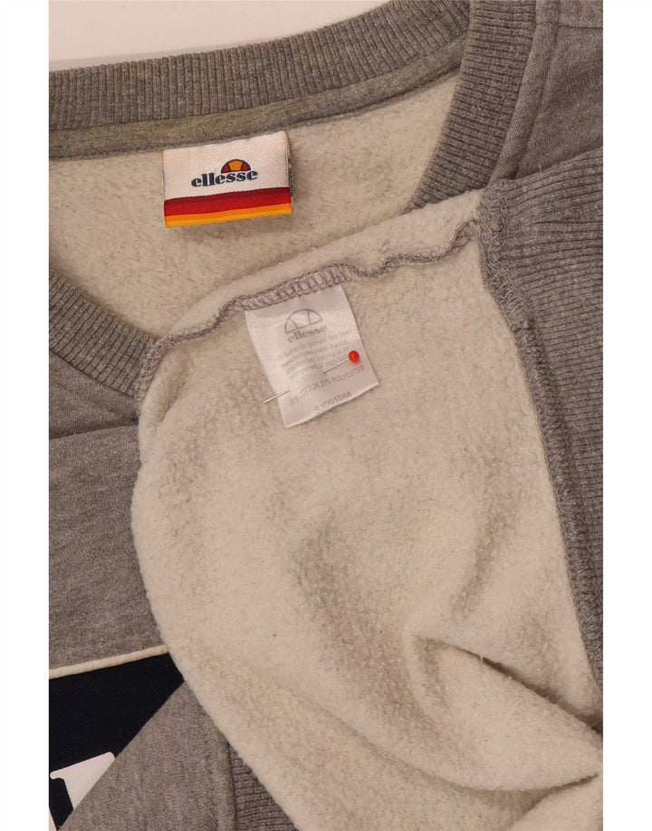 Ανδρικό γραφικό φούτερ Ellesse Jumper Small Grey Colourblock Βαμβακερό