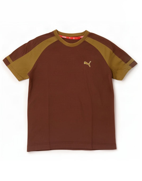 Ανδρικό T-Shirt Puma Top μεσαίο καφέ Colourblock