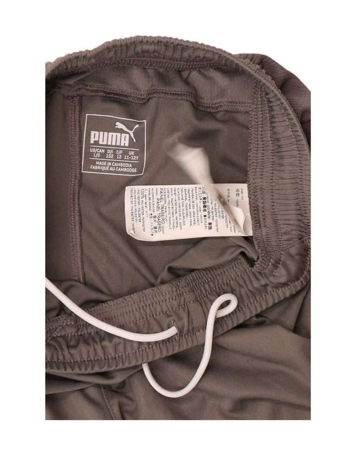 PUMA Boys Sport Shorts 11-12 Years  Grey Colourblock Polyester