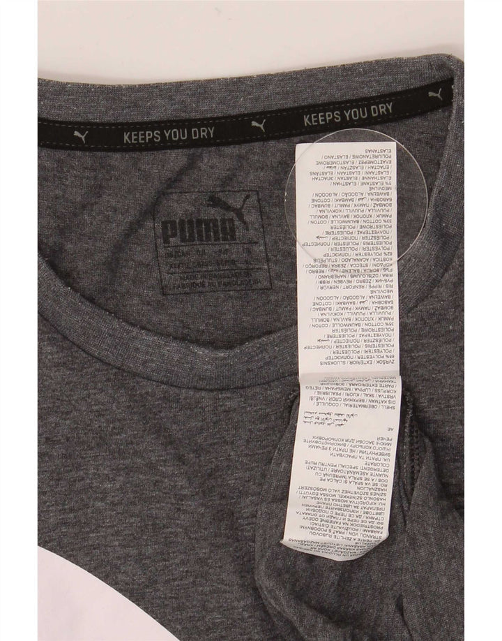 Ανδρικό γραφικό T-Shirt Puma Top XL Grey Polyester