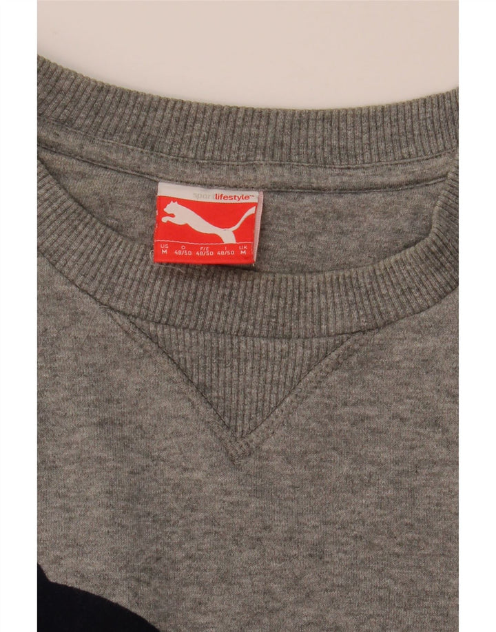 Ανδρικό γραφικό φούτερ Puma Jumper με μεσαίο γκρι χρώμα